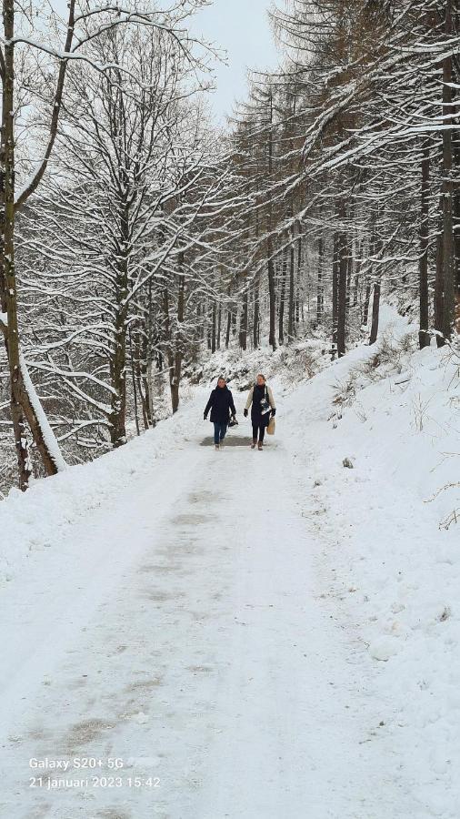 Vakantiehuisje Winterberg